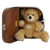 Image de Ours Teddy Fynn dans sa valise