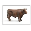 Image de Taureau - Brun