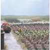 Image de Roses 1205 H0