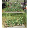 Image de Concombres, Tomates 1214 H0