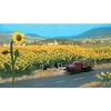 Image de Modélisme : Végétation - Champ de tournesols