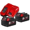 Image de Pack de batteries 18V M18 NRG-502 2x5Ah + chargeur - TOOL - 4933459217
