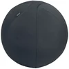 Image de Leitz Balle De Siège Antidérapante Active 55 Cm One Size