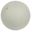 Image de Ballon d'assise Leitz Ergo Active, fonction anti-basculement, alternative ergonomique à la chaise de bureau, diamètre 65 cm, housse en tissu, pompe à air manuelle, 2 bouchons, Gris Clair, 65420085 en occasion ou reconditionné