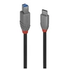 Image de Anthra Line - Câble USB - 24 pin USB-C (M) pour USB Type B (M) - USB 3.2 Gen 1 - 3 m - rond, bi-directionnel - noir