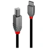 Image de Anthra Line - Câble USB - 24 pin USB-C (M) pour USB type B (M) - USB 2.0 - 1 m - noir