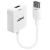 Image de - Adaptateur vidéo externe - HDMI - DisplayPort