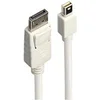 Image de 41056 câble DisplayPort 1 m Mini DisplayPort Blanc