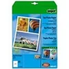 Image de - papier photo jet d'encre Top, A4, brillant, 125 g/m2 extra blanc contenu: 100 feuilles (IP664)