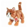 Image de Peluche Chat roux - 20 cm