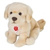 Image de Peluche chien golden retriever assis 25 cm