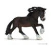 Image de 13734 Etalon Shire