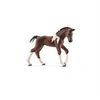 Image de World of Nature: Farm Life - Faon Trakehner