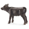 Image de Angus Calf