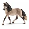 Image de Andalusian Mare