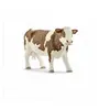 Image de 13801 Vache Simmental Francaise