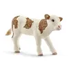 Image de Simmental Calf