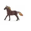 Image de Mustang Stallion