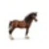 Image de Clydesdale Gelding