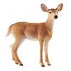 Image de World of Nature: Wild Life - Biche à queue blanche