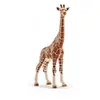 Image de 14750 Girafe Femelle