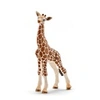 Image de 14751 Bebe Girafe