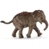 Image de Asian Baby Elephant
