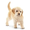 Image de Chiot golden retriever