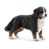 Image de 16397 bouvier bernois femelle