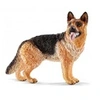 Image de 16831 Berger Allemand