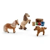 Image de family of Mini Shetlands
