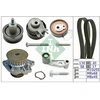 Image de Pompe À Eau + Kit De Courroie De Distribution 530036030 Ina Ina 530036030 Seat;Volkswagen