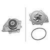 Image de Pompe À Eau Ina 538009410 Land Rover;Lotus;Mg;Rover