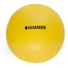 Image de Finnlo Balle Gym 55 Cm One Size
