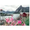 Image de -Puzzle 1000P-Reine, Lofoten, Norvege (Highlights)-Adultes & Enfants-Des 14 Ans-Puzzle De Qualité Supérieure-12000112