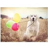 Image de Puzzle 500 pièces : Jour de fête