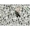Image de Puzzle de 1000 pièces Ravensburger Star Wars Blanc 70x50 cm 4005555004585