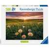 Image de Puzzle 500 Pieces - Pissenlits Au Crepuscule