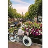 Image de Puzzle 1000 pièces : Vélo et fleurs à Amsterdam