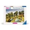 Image de 1000p puzzle The Huntington Desert Garden USA