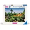 Image de 1000p puzzle Jadrin botanique de Madere