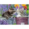 Image de Puzzle 1000 pièces : Bisous de chatons