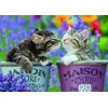 Image de Puzzle 1000 Pieces - Bisous De Chatons