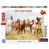 Image de Puzzle 1000 Pieces - Chevauchee Dans Le Desert