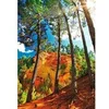 Image de Puzzle 1000 pièces : Les ocres de Roussillon