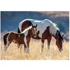 Image de Puzzle 1500 pièces : Chevaux Dans La Forêt
