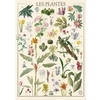 Image de Puzzle 1500 pièces : Muséum National D'Histoire Naturelle : Les Fleurs