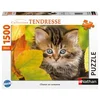 Image de Puzzle 1500 Pieces - Chaton En Automne