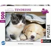 Image de Puzzle 500 Pieces - Reveille-toi