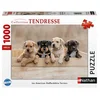 Image de Puzzle 1000 Pieces - Les American Staffordshire Terriers